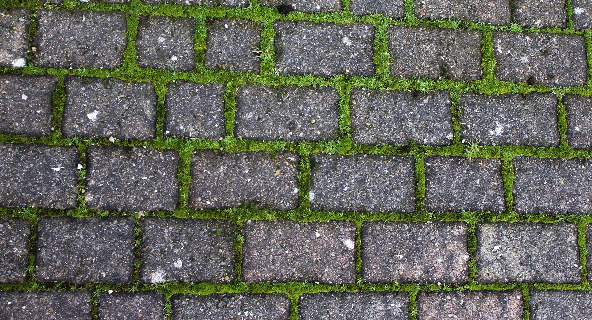 Cobblestone Driveway